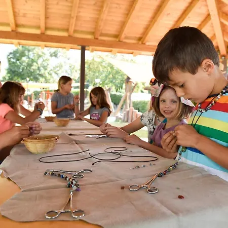 Campsite Camping Tamaro Tenero-Contra